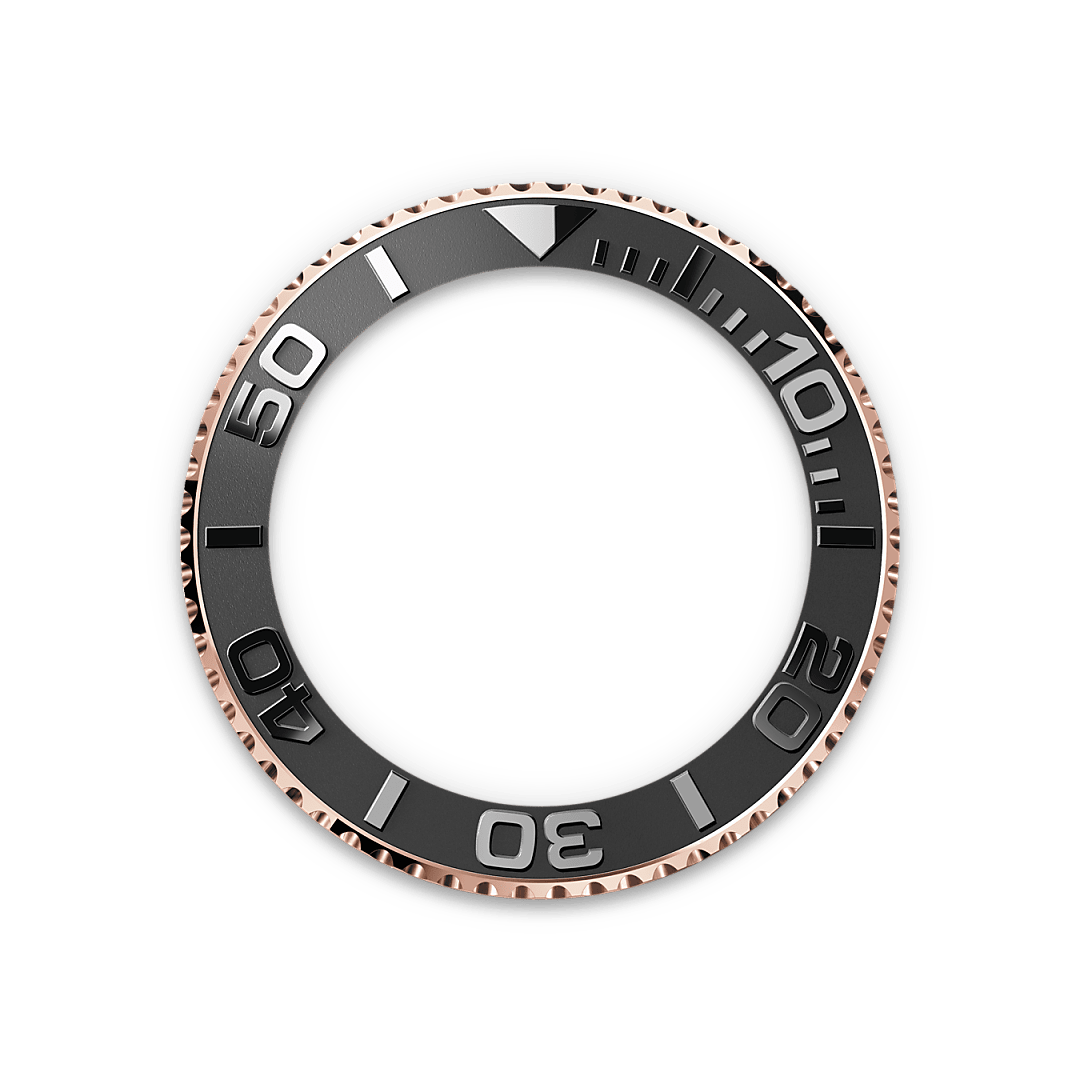 Bidirectional Rotatable Bezel